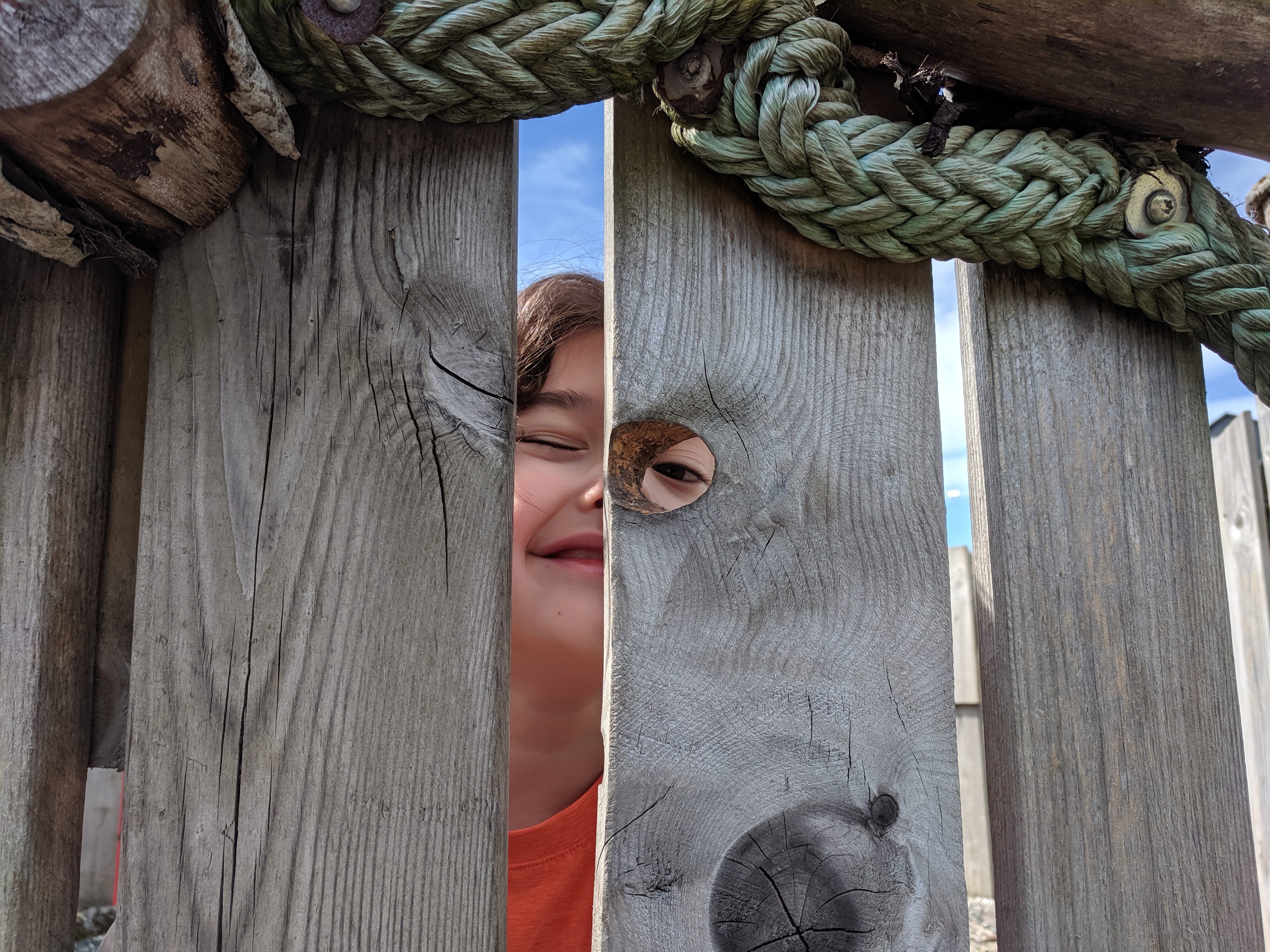 Wit’s eye through wood